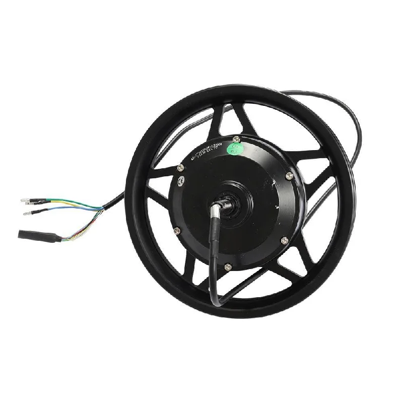 Fiido Q1S Motor