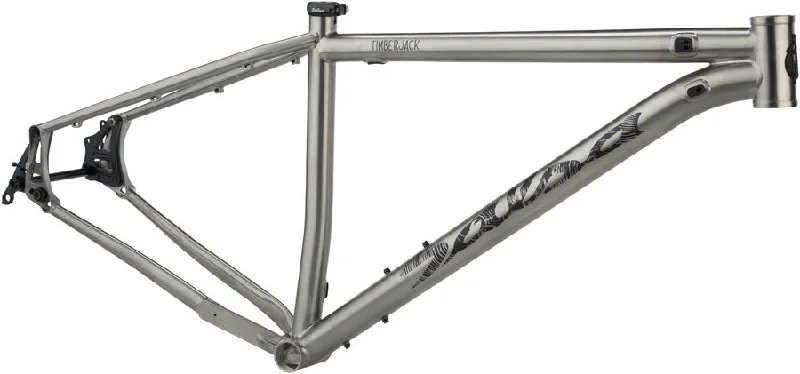 Salsa Timberjack Ti Frame LG