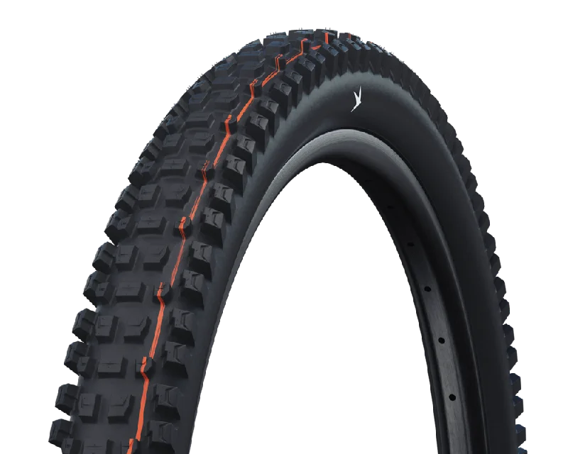 Schwalbe Albert Radial Tire 29"