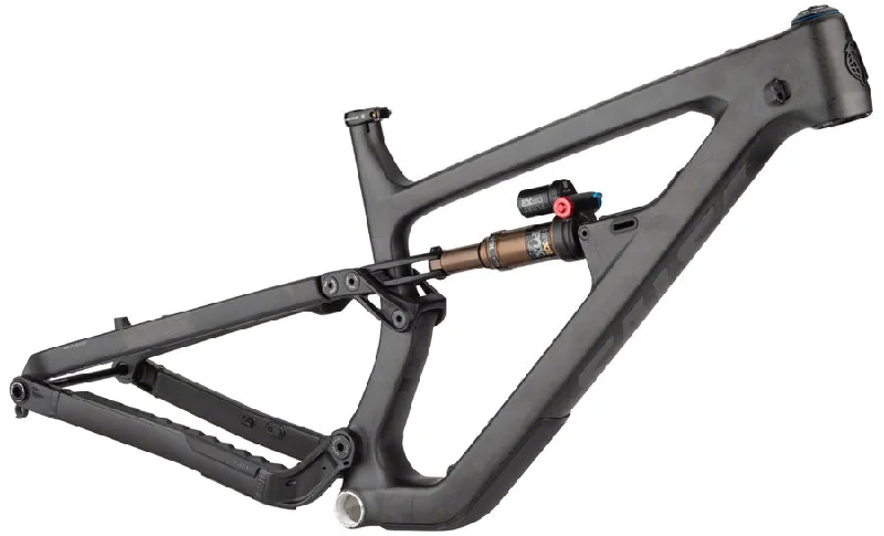 Salsa Blackthorn Carbon Frame - Carbon Raw X-Large